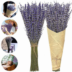 decoration, Flowers, Home, lavenderflower