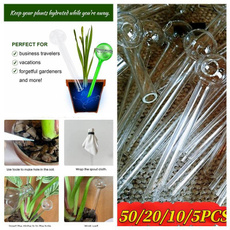water, Plants, Garden, glassoilburnerpipe