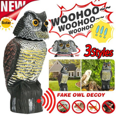 Owl, Head, Exterior, Yard
