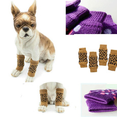 dogsock, Winter, Equipment, Pets