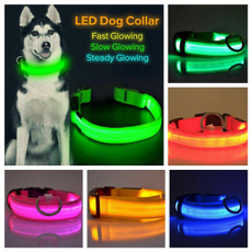 led, usb, fluorescence, Pets