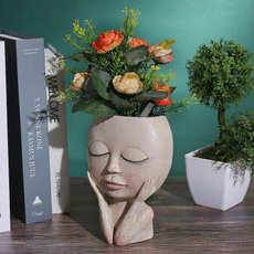 succulent, Head, Flowers, planter