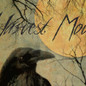 thumbnail - 5