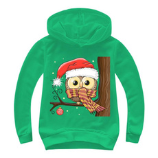 Owl, owlhoodie, Winter, christmassweatshirt
