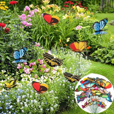 butterfly, Plants, Outdoor, Butterflies