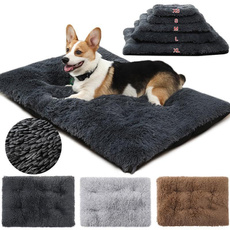 Medium, bedblanket, Cat Bed, Pets