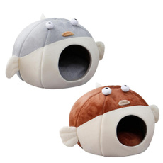 puppy, Animal, Sports & Outdoors, Pets