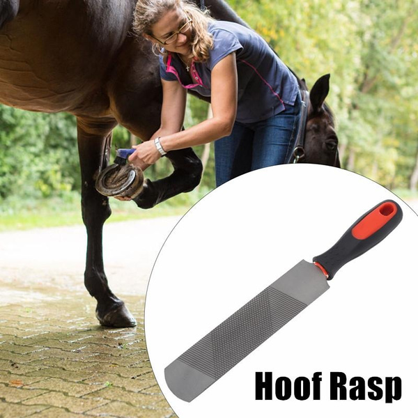 8 Inch Hoof Rasp Carbon Steel Ergonomic Horseshoe File Horseshoe