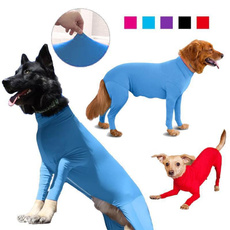 Fashion, catsweater, Shirt, Pets