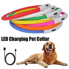 led, usb, Pets, ledflashingdog