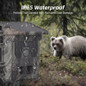 thumbnail - 6