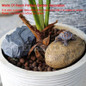 thumbnail - 1