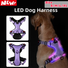 Harness, led, petaccessorie, dogharnes