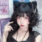 thumbnail - 2