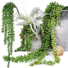 succulent, hangingplant, artificialplant, fakesucculent