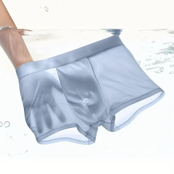 Mens Transparent Ice Silk Briefs Shorts Low-Waist Underpants Knickers  Underwear