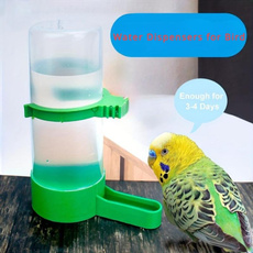 Parrot, budgie, birdcage, Pet Products
