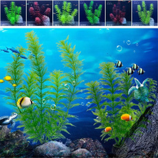 Plants, aquatic, Tank, fish