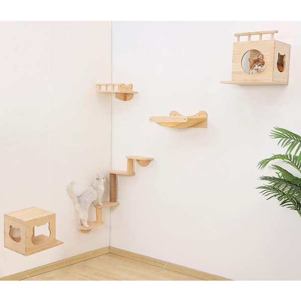 Indoor 2024 cat shelves