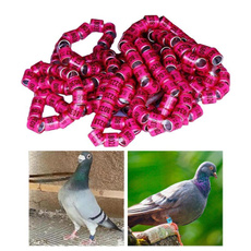 birdfootring, Jewelry, poultryfootring, pigeonlegring