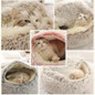 thumbnail - 6