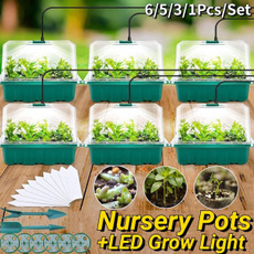Box, Plants, lights, ledlightgrowinglight