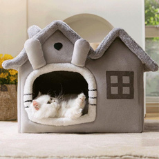 Indoor, Cozy, Pets, house