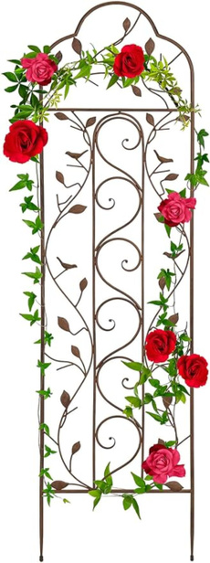 decoration, Lawn, Outdoor, Garden