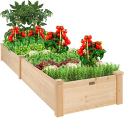 Lawn, Outdoor, Natural, Garden
