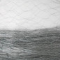 thumbnail - 6