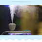 thumbnail - 12