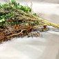 thumbnail - 3