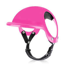 Pets, Helmet, Sport, Dogs