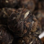thumbnail - 1