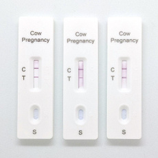 cowpregnancytestcard, bovinepregnancy, bovinepregnancytestkit, cow