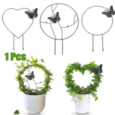 butterfly, Plants, Indoor, Gardening