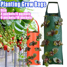 planting, seedsgrowbox, plantbag, Garden
