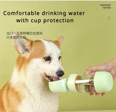 Cup, Pets, waterbottle, Dogs