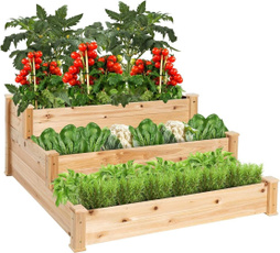 Plants, Outdoor, Natural, Garden