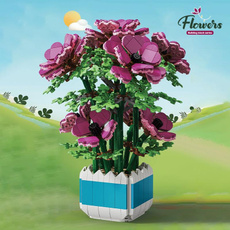 Bonsai, Toy, succulentplant, Ornament