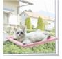 thumbnail - 1