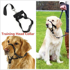 Head, dogleadleash, Dog Collar, Halter