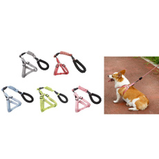 Fashion Accessory, Fashion, Handles, Pets