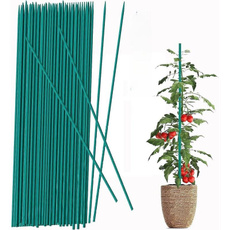 gardeninglawncare, Plants, Flowers, Bamboo