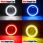thumbnail - 2