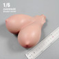 thumbnail - 24