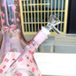 thumbnail - 3