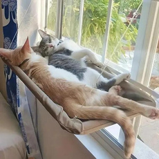 windowcatbed, catwindowperch, comfycatperch, catsunbathingperch