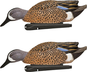turkey, flambeau, gadwall, goose