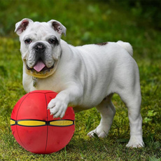Ball, portable, Pets, lights